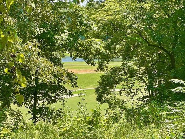 Land for sale in Hawkinsville, Georgia
