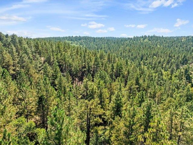 Land for sale in Whitewood, South Dakota