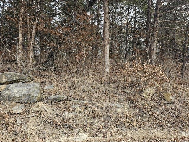 Land for sale in Hickory, Missouri