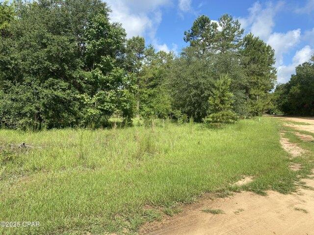 Land for sale in Marianna