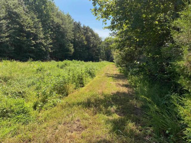 Land for sale in Tennessee
