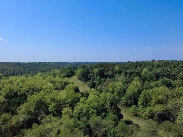 Land for sale in Cabool, Missouri
