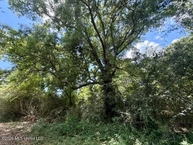 Land for sale in Tylertown, Mississippi