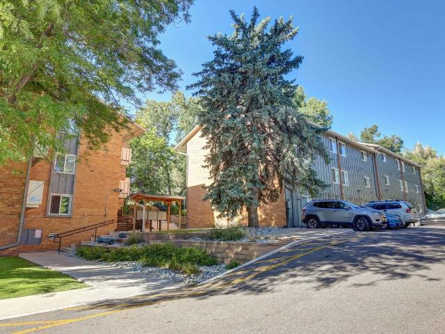 Apartment for rent in Wheat Ridge, Colorado