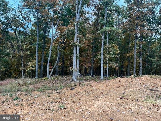 Land for sale in Virginia
