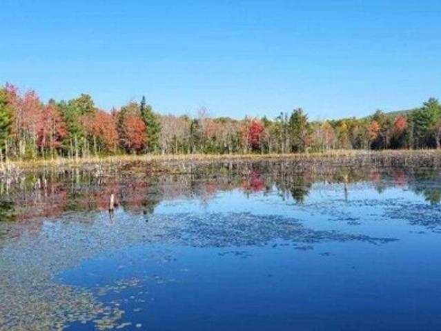 Land for sale in Waldo, Maine