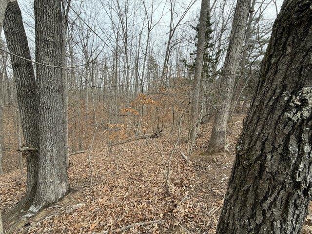 Land for sale in Virginia