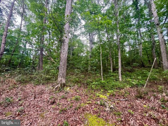Land for sale in Virginia