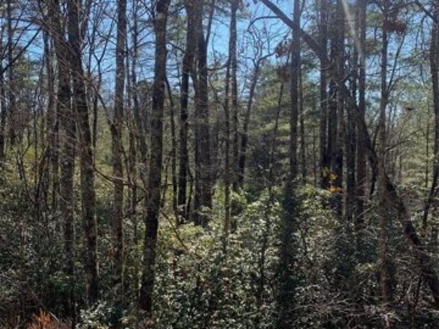 Land for sale in Brevard