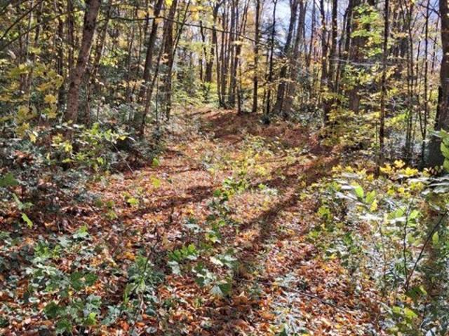 Land for sale in Eden, Lamoille County
