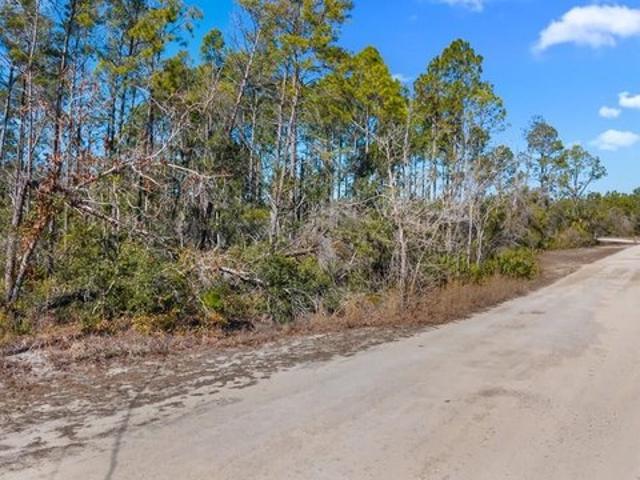Land for sale in Steinhatchee, Florida