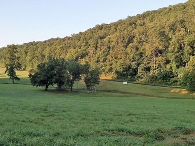 Land for sale in Hayesville, North Carolina