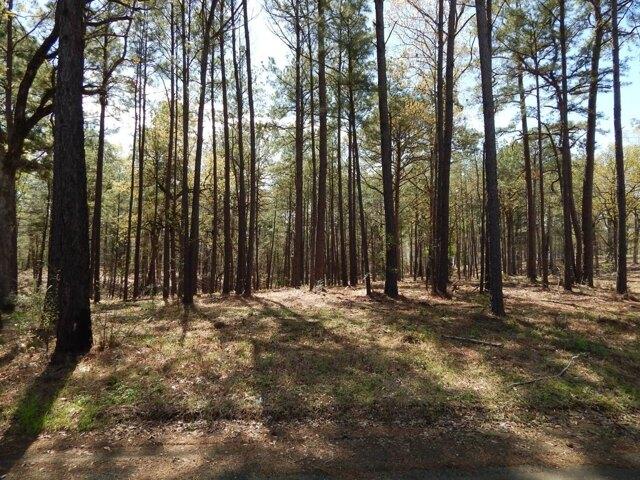 Land for sale in Many