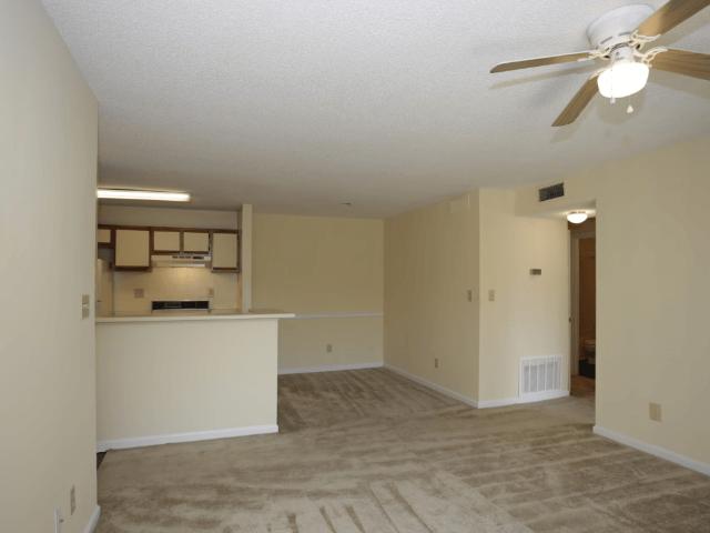 Apartment for rent in Clayton, Georgia