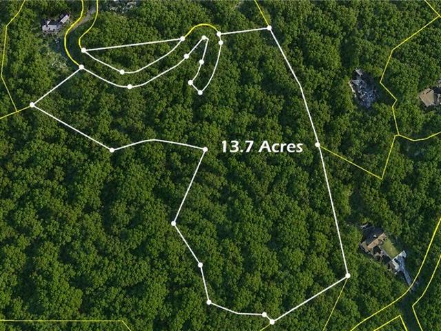 Land for sale in Landrum, South Carolina