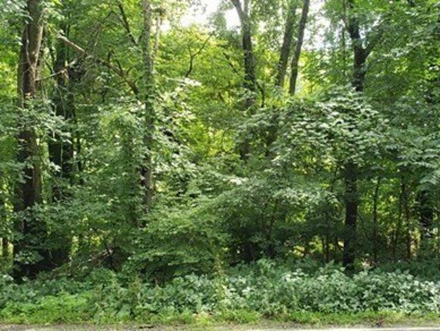 Land for sale in Ashland, Massachusetts