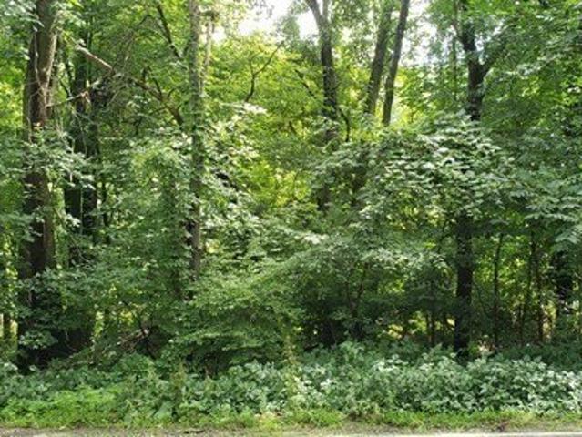 Land for sale in Ashland, Massachusetts