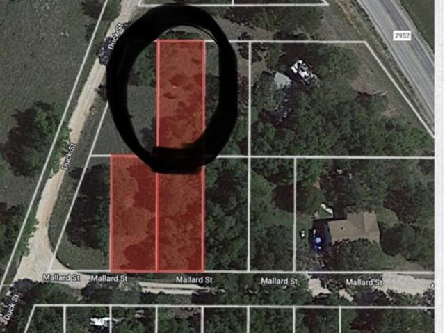 Land for sale in Bridgeport, Wise County