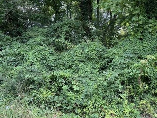 Land for sale in Canton, Georgia