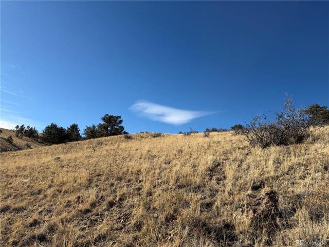 Land for sale in Hartsel, Park County