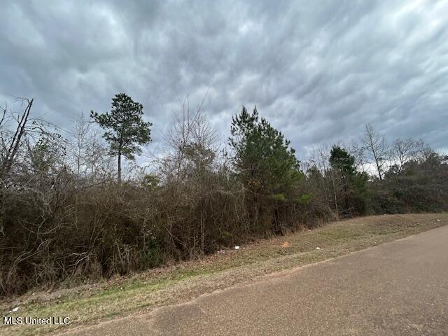 Land for sale in Crosby, Mississippi