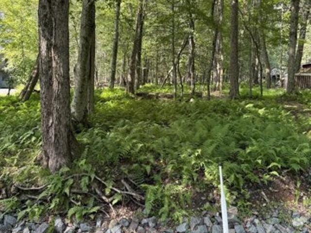 Land for sale in Pocono Lake Land for sale in Pocono Lake