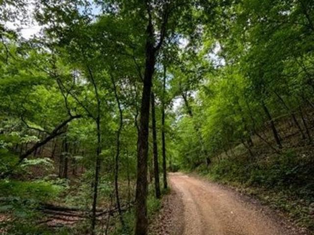 Land for sale in Stone, Missouri