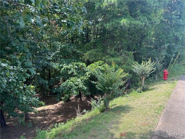 Land for sale in Northport