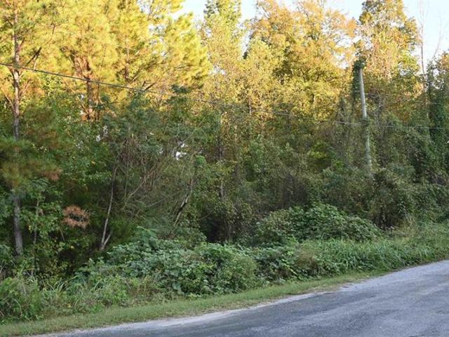 Land for sale in Cleveland, Blount County