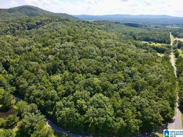 Land for sale in Alpine, Alabama