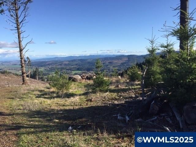 Land for sale in Dallas, Polk County