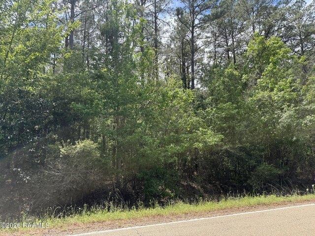 Land for sale in Oakdale, Louisiana