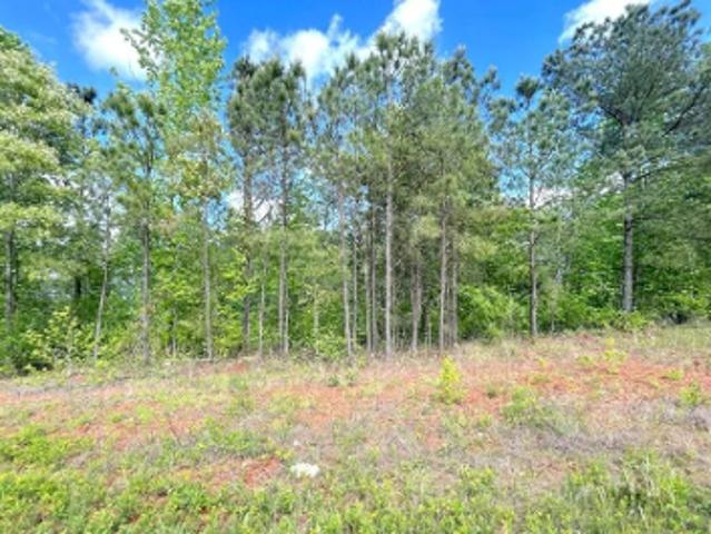 Land for sale in Paulding, Georgia