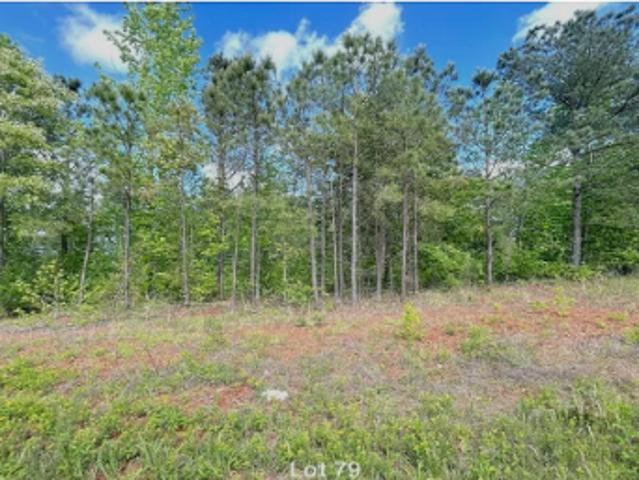 Land for sale in Paulding, Georgia