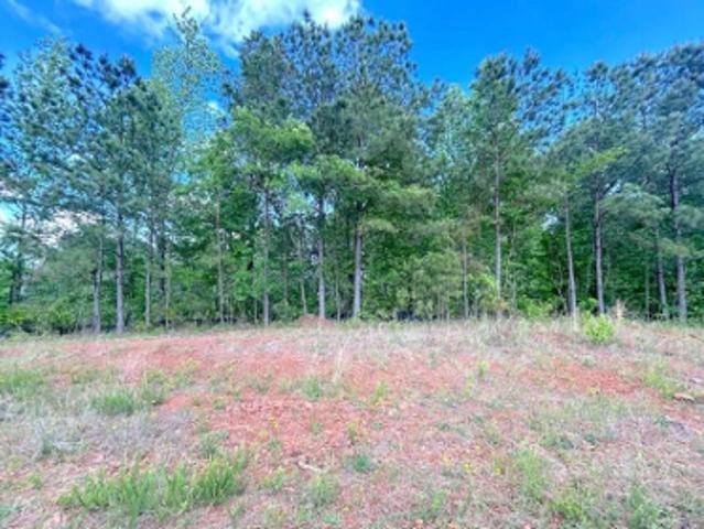 Land for sale in Paulding, Georgia