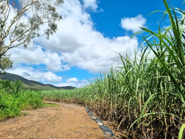 Acreage for sale in Oakenden, Queensland