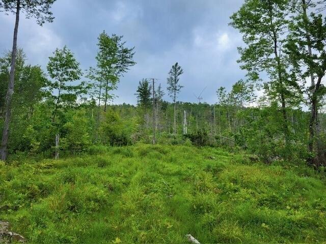 Land for sale in Oakfield, Maine