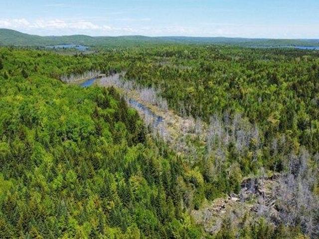 Land for sale in Oakfield, Maine