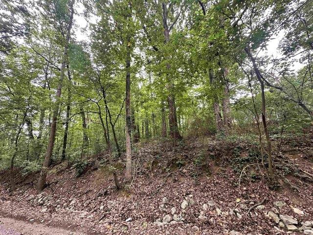Land for sale in Cullman, Alabama