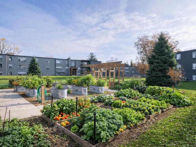 Apartment for rent in Arva, Ontario