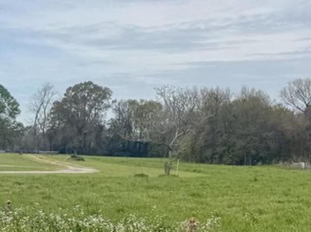 Land for sale in Louisiana