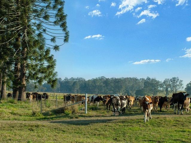 Cottage for sale in Duck Creek, New South Wales
