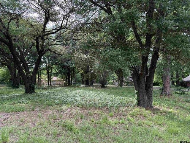 Land for sale in Wood, Texas