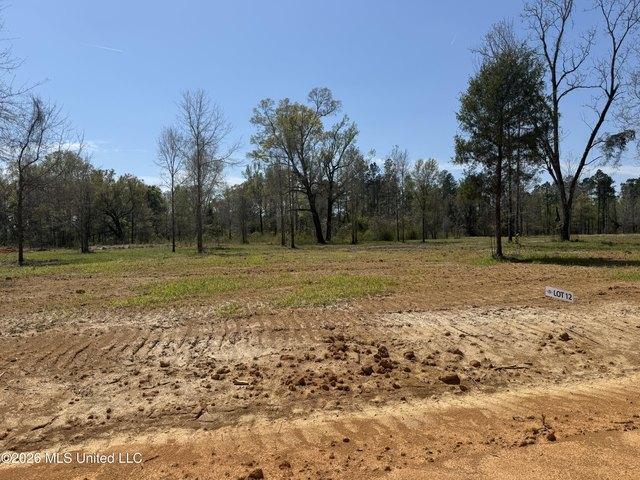 Land for sale in Lucedale, Mississippi