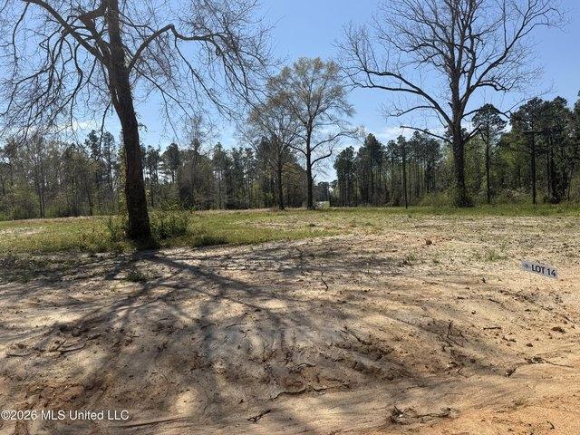 Land for sale in Lucedale, Mississippi