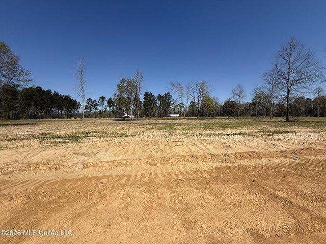 Land for sale in Lucedale, Mississippi