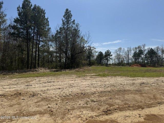 Land for sale in Lucedale, Mississippi