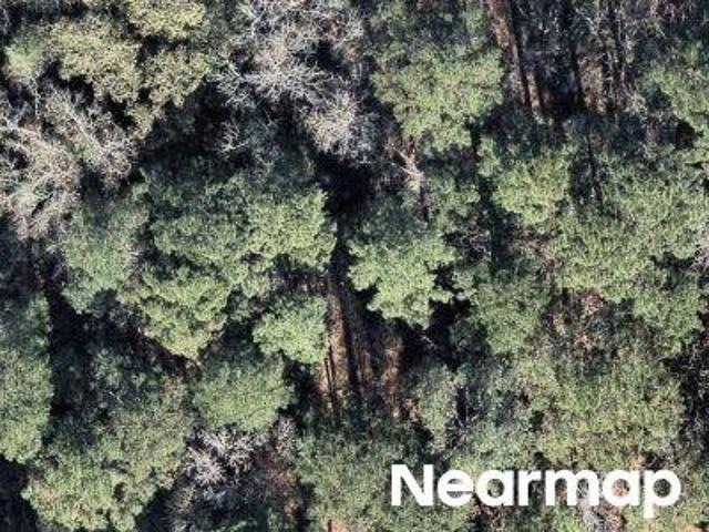 Land for sale in Huntsville, Texas
