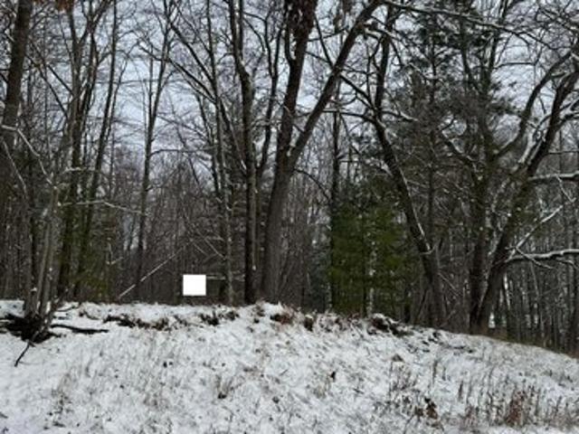 Land for sale in Oscoda, Michigan