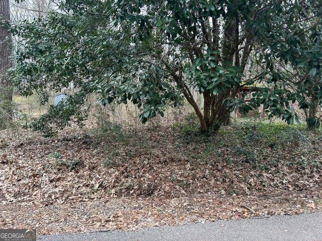Land for sale in Stockbridge